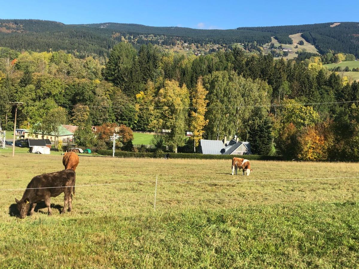 Apartman Roky 6 Rokytnice nad Jizerou Bagian luar foto