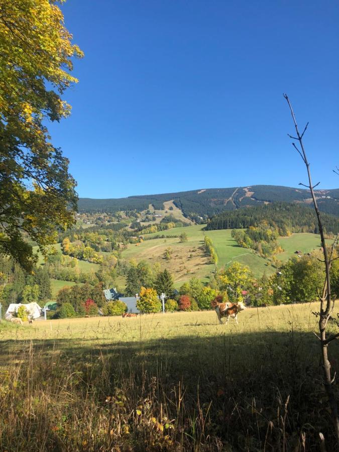 Apartman Roky 6 Rokytnice nad Jizerou Bagian luar foto